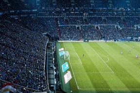 开云体育在线-霍勒迪接管F1赛道，森林狼却在篮球场爆冷猛龙，体育世界的冰与火之歌