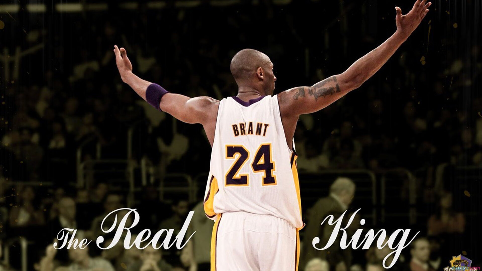 小贾伦绝境封神!森林狼加时鏖战擒骑士,他才是明尼苏达的狼王